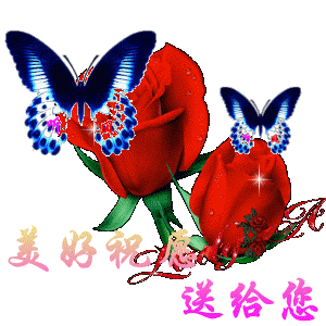 要你快乐4的主播照片