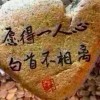 影子是你
