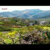 八元麻辣烫