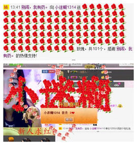 小迷糊1314主播照片