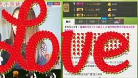 ∨燕子∨主播照片