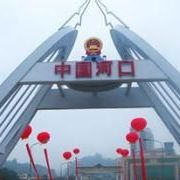 大麻雀额丶