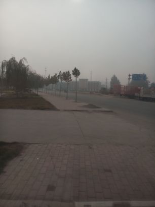 ♔♍♉♔√河间爷们的主播照片