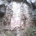 黑衣是爱你的哦