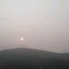 芣蘺钚棄
