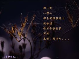 永远挂号主播照片
