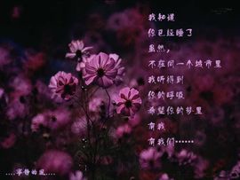 永远挂号主播照片