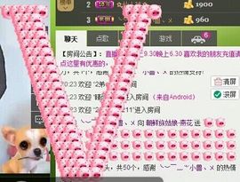 ∨燕子∨主播照片