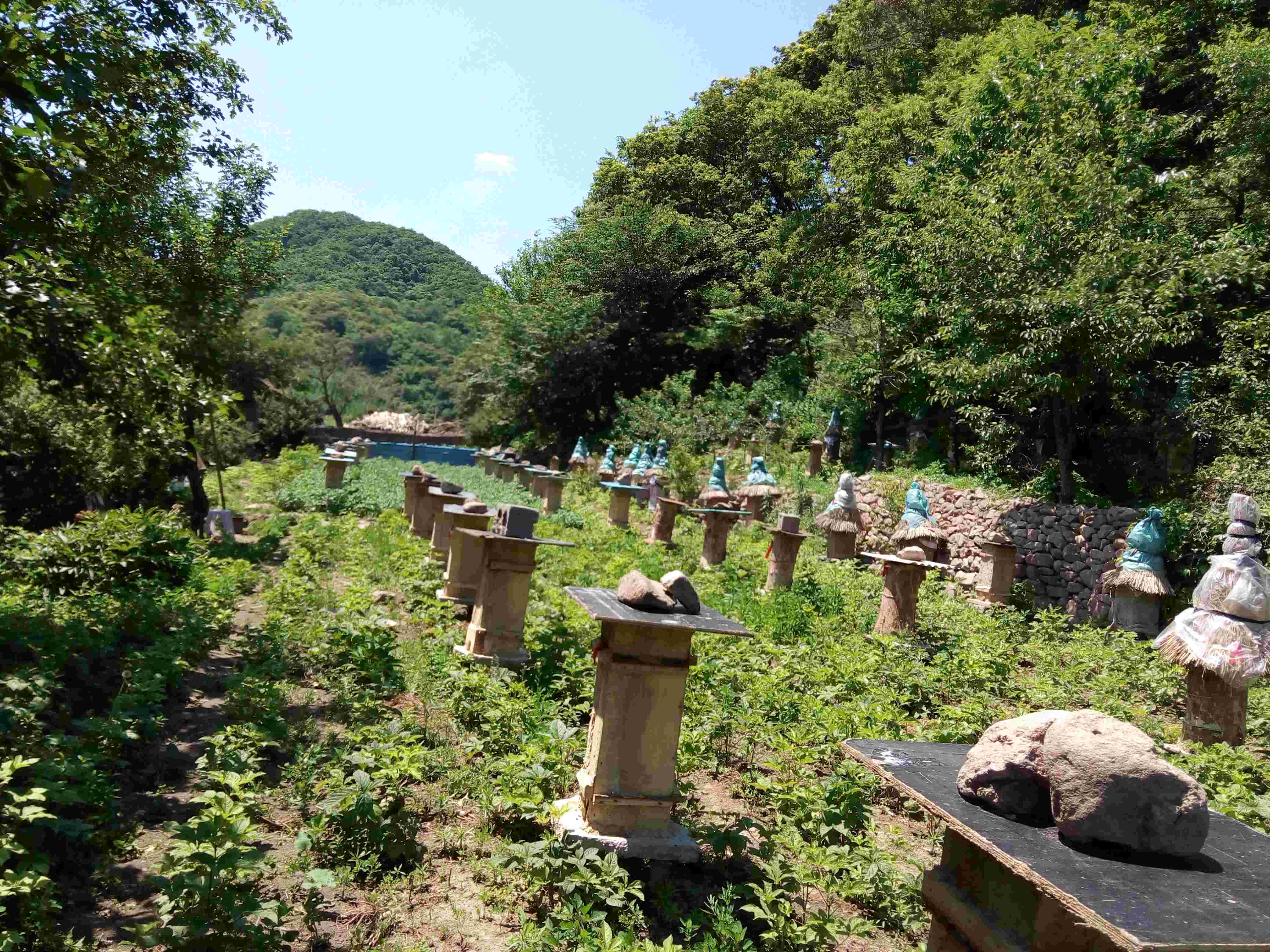 野蜂王的主播照片