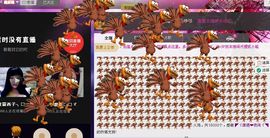 二小姐小阿莉主播照片