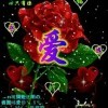 独行侠5b