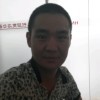崛起的狼海报