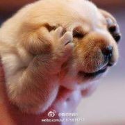 叫什么名呀