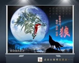 无爱💞主播照片