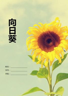 永远挂号主播照片