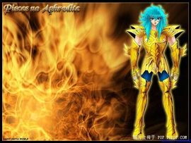 魔魇鱻蝠鲼B2轟炸機主播照片