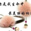 有爱无恨i