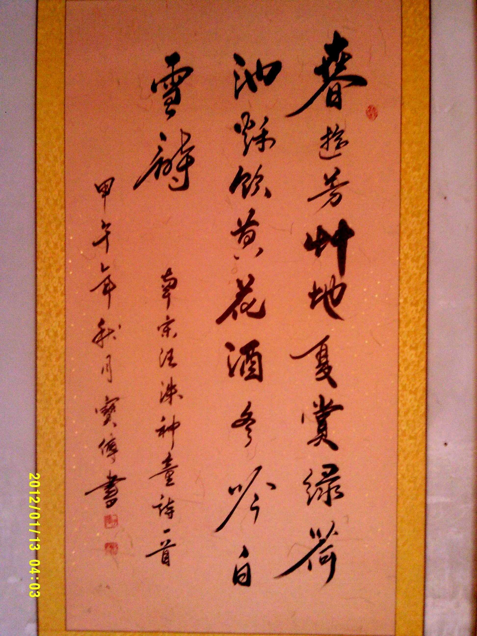 恐龙路线的图片
