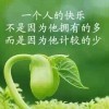 有爱无恨y