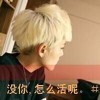 死生契阔，与子成说：海报