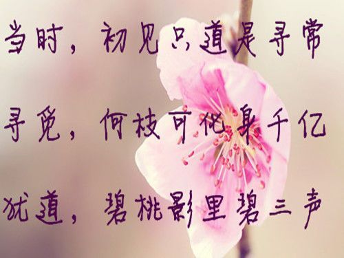 @@@浅笑心柔主播照片