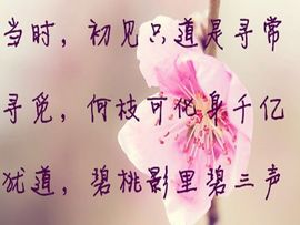 @@@浅笑心柔主播照片