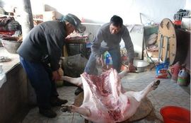 火火九哥主播照片