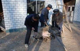火火九哥主播照片