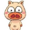 一个胖子i