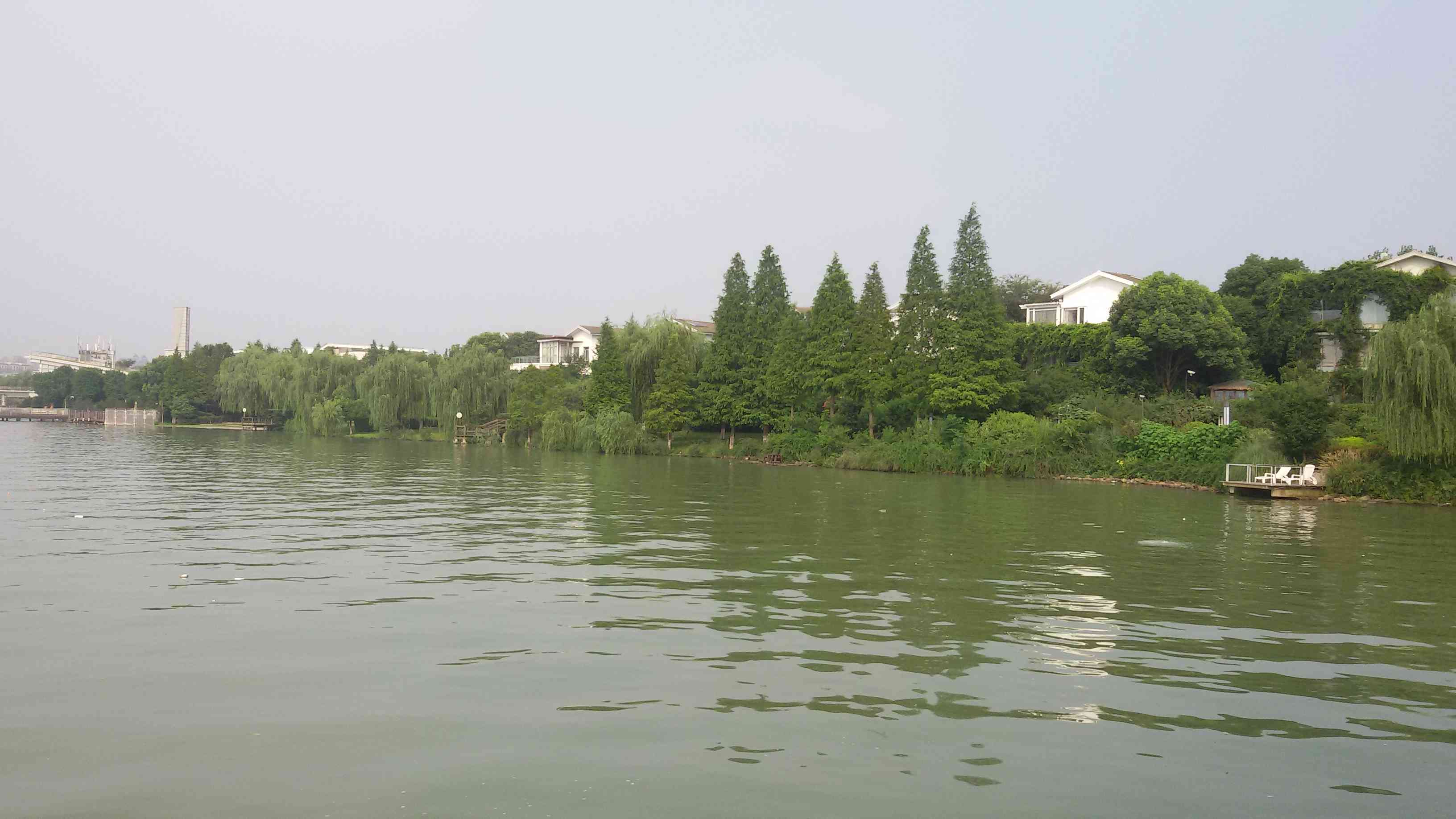 ????～逆流而上～的主播照片