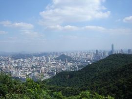 永远挂号主播照片