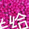 东北爷们h海报