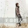 回忆在美、终是伤海报