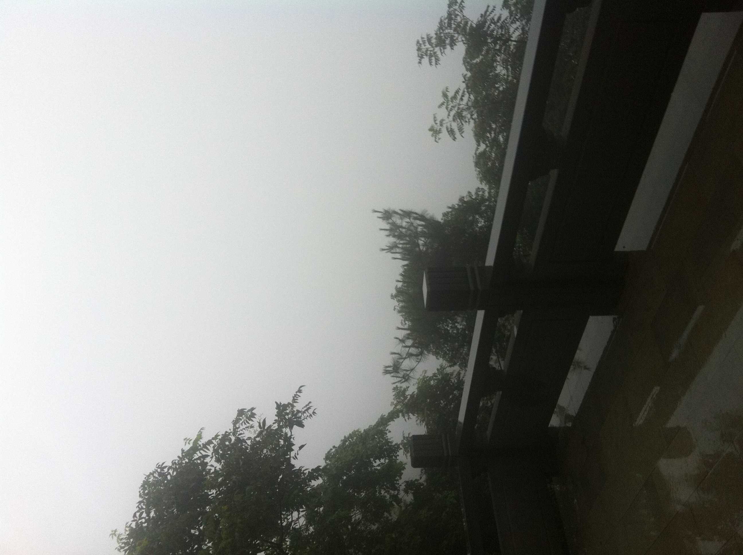 雾失苍天的主播照片