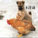 司马郇
