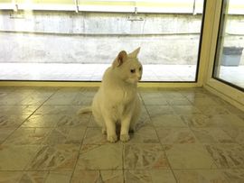双鱼の冷阳阳主播照片