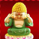 管团--玫瑰花