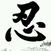 随心随缘随风