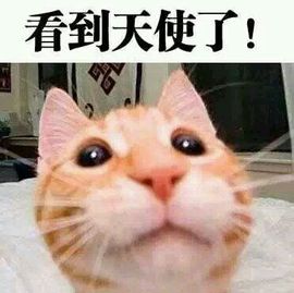 向日葵下的小花花儿主播照片