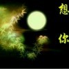 1颗心只为你而牵动