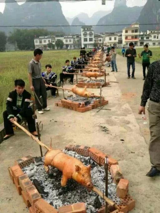 ╰?天馬的主播照片