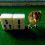 欢迎，我二哥海报