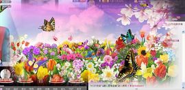 那么~安静主播照片