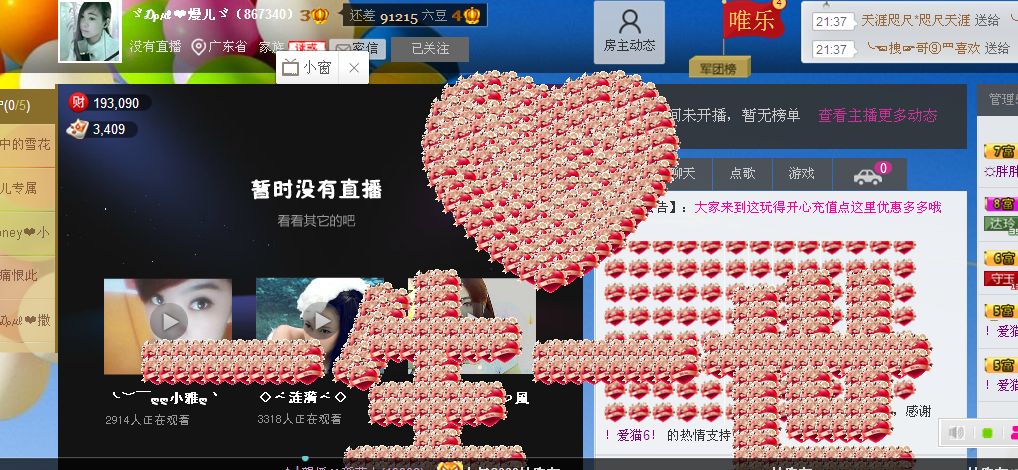 新人第一天求宠的图片