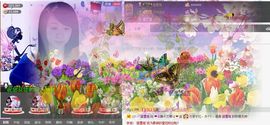 平凡到尘埃~♪主播照片