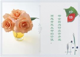 飞利浦大爷主播照片