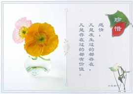 飞利浦大爷主播照片