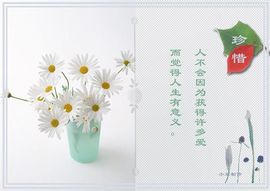 飞利浦大爷主播照片