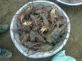 忘记了当初的名字主播照片