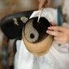 小个子1米83